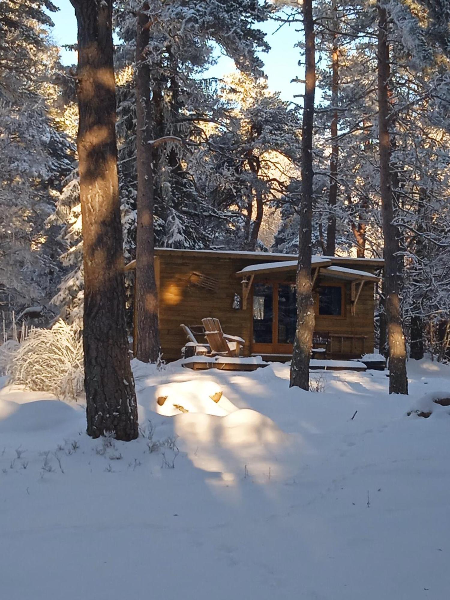 Chalet Hibou 1 Couchage En 140 Domaine De La Mamounette Champclause Екстериор снимка